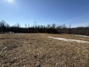 From Overgrown to Opportunity - Land Clearing & Mulching Done Right