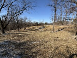 From Overgrown to Opportunity - Land Clearing & Mulching Done Right