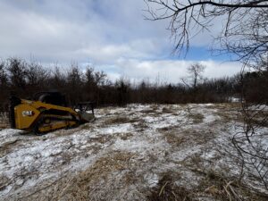 From Overgrown to Opportunity - Land Clearing & Mulching Done Right