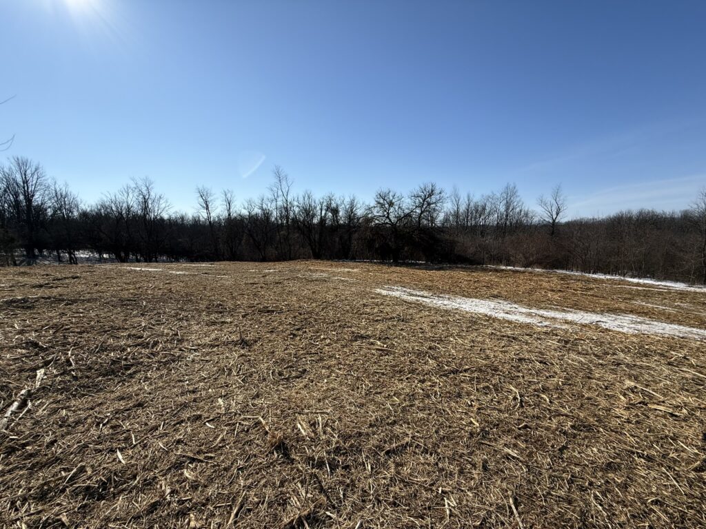 From Overgrown to Opportunity - Land Clearing & Mulching Done Right