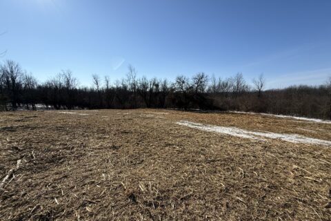 From Overgrown to Opportunity: Land Clearing & Mulching Done Right